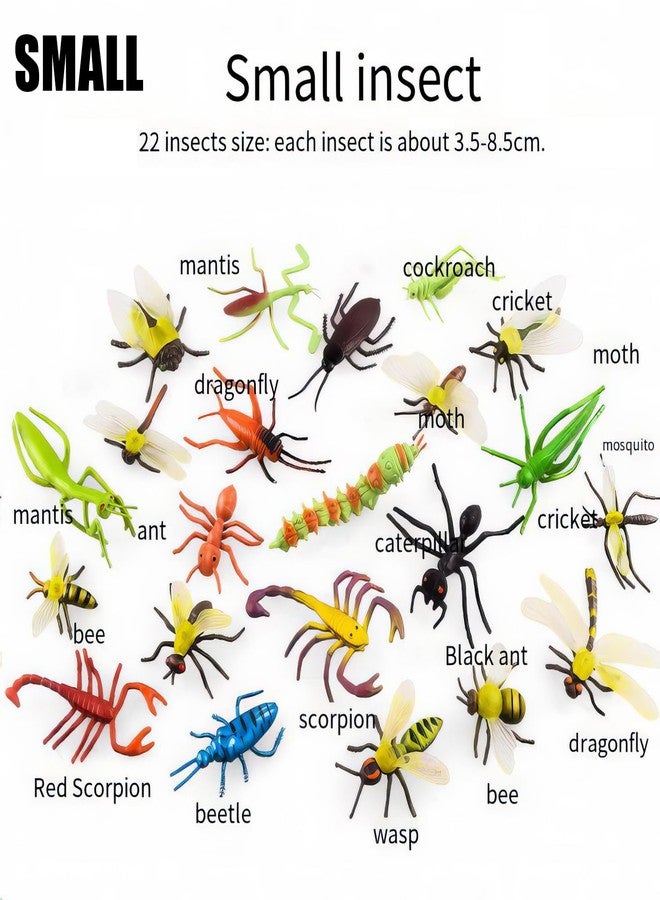 Lynkaye 34 pcs Plastic Insects Lifelike Assorted Figures Realistic Insect Animal Model, Perfect Model for Recognizing Nature (34 Pcs Bugs) - Image 4